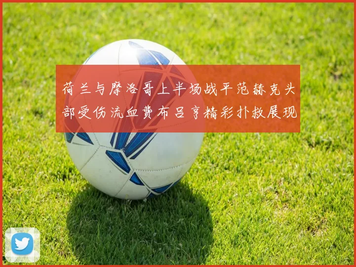荷兰与摩洛哥上半场战平范赫克头部受伤流血费布吕亨精彩扑救展现实力